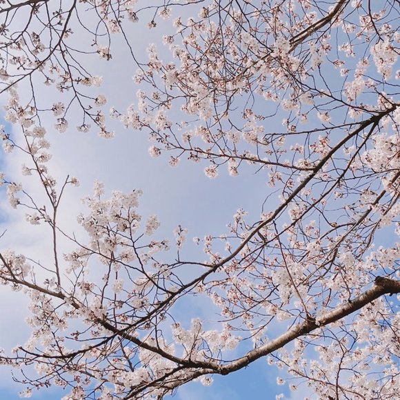 Meet your Posher, Hyein - Picture 1 of 1